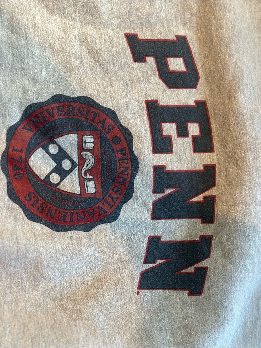 Champion Gray Crewneck Sweatshirt with Red & Navy Print